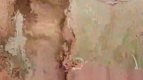 Snapshot of the1st_play_girl chatting on 12-30-24, 06:27 the1st_play_girl online show from 12-30-24, 06:27