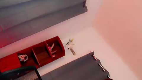 the_naughty_kyra online show from 02-09-25, 03:22
