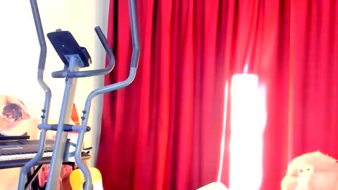 Ally    STREAMING ON TWITCH NOW Check my Twitter for updates online show from 10-02-25, 02:51