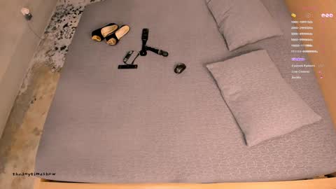 Snapshot of theanytimeshow chatting on 03-18-26, 04:48 Anny online show from 03-18-26, 04:48