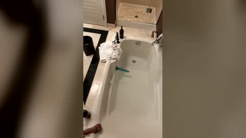 thedirtierthebetter8 online show from 03-19-26, 10:41