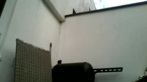 Snapshot of theforkliftman chatting on 03-22-26, 12:41 theforkliftman online show from 03-22-26, 12:41