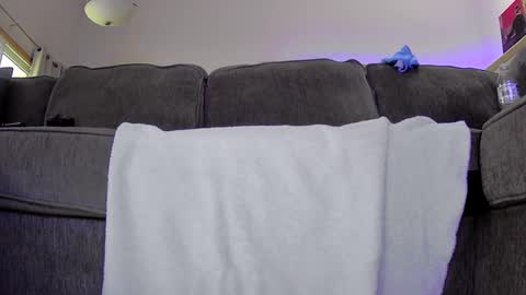 thegreat6268469 online show from 09-12-25, 11:37