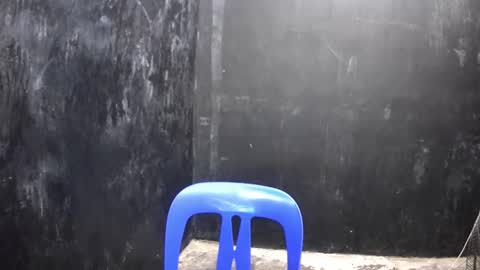 Xerxis online show from 03-10-25, 02:37