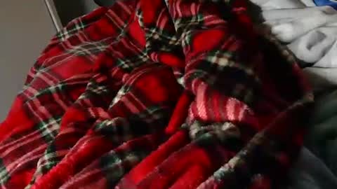 Liam online show from 03-23-26, 08:35