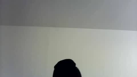 Snapshot of theman18951pa chatting on 11-01-25, 10:06 theman18951pa online show from 11-01-25, 10:06