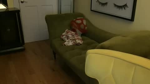 Cach Nelson online show from 11-11-25, 08:36