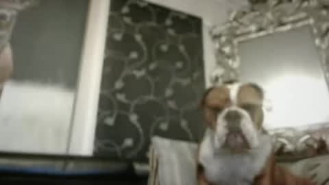 therealkurva4u online show from 02-09-25, 02:29