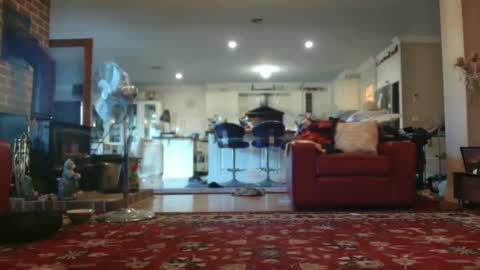 therealkurva4u online show from 02-28-25, 09:12