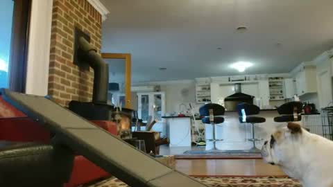 therealkurva4u online show from 09-25-25, 08:07