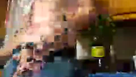 therizzler_1_of_1 online show from 06-29-26, 03:02