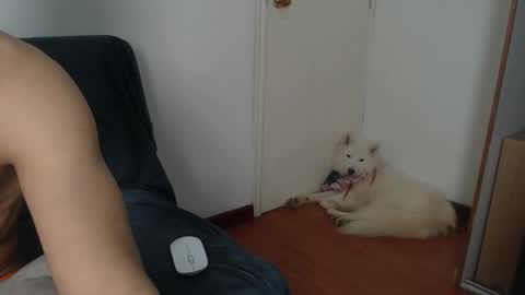 thesaint_xxx online show from 11-08-25, 08:07