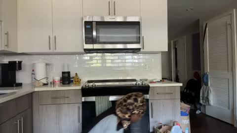 Snapshot of thevixensapphire chatting on 04-10-26, 02:55 Sapphire the Vixen online show from 04-10-26, 02:55