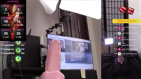 The Willow Fox online show from 01-28-25, 09:08