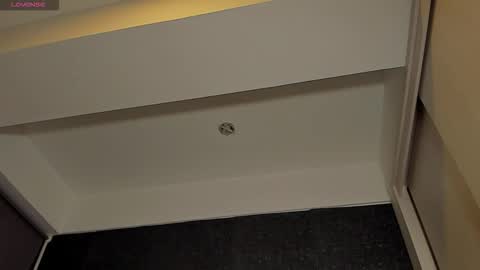 THIAGO MENESES online show from 01-15-26, 03:11