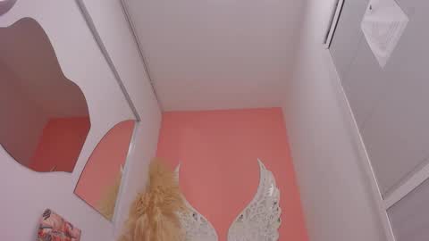 Lexxy online show from 02-02-26, 11:53