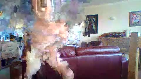 Thickcockat71 online show from 05-13-26, 09:44