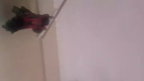 Thonas online show from 11-05-25, 12:10