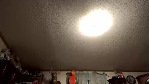 throbbing8585 online show from 05-26-26, 05:36