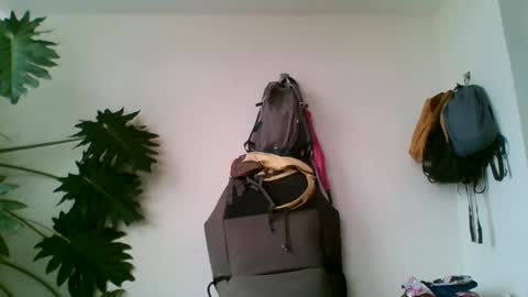 Snapshot of tiaretiareopui chatting on 10-31-25, 11:22 tiaretiareopui online show from 10-31-25, 11:22