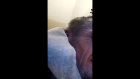 Snapshot of tibed1968836757 chatting on 02-15-26, 08:49 tibed1968836757 online show from 02-15-26, 08:49