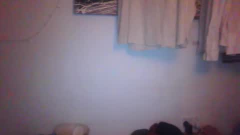 tiddles12345 online show from 03-16-26, 06:34