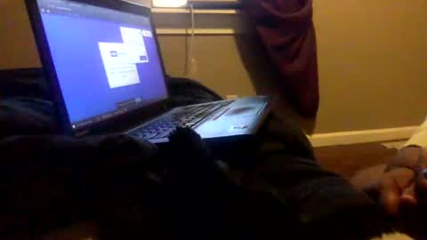 Tierra Henri online show from 02-02-25, 03:49