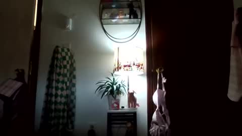 Snapshot of tigerlily4 chatting on 11-07-25, 04:51 tigerlily online show from 11-07-25, 04:51