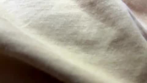 timber2255 online show from 10-31-25, 02:07