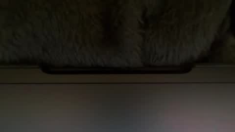Snapshot of timplaw chatting on 02-11-25, 01:20 Timplaw online show from 02-11-25, 01:20
