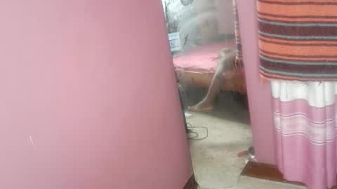 tin_love1 online show from 02-18-26, 07:04