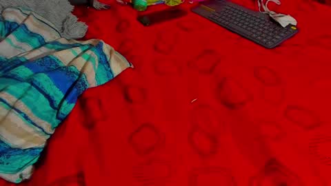 Snapshot of tina14v chatting on 12-15-24, 11:31 west tina online show from 12-15-24, 11:31