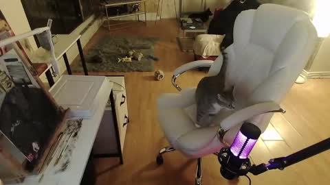 stage Kylie Sinner  brand CLITBAIT online show from 01-30-25, 08:32