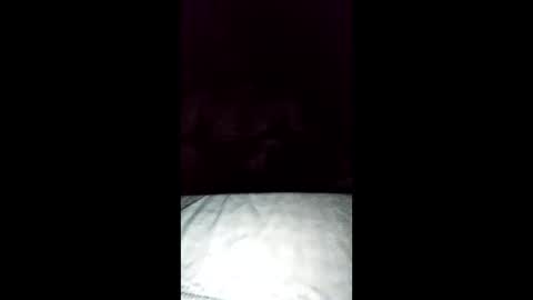 tiqueb69 online show from 02-10-26, 07:34