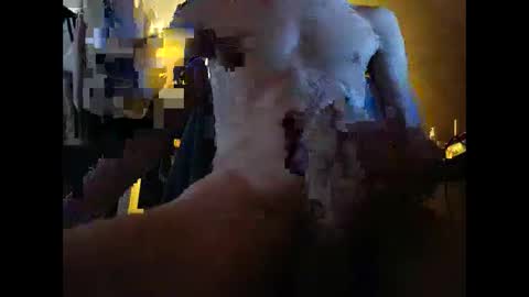 Snapshot of tizh chatting on 04-16-26, 06:30 tizh online show from 04-16-26, 06:30