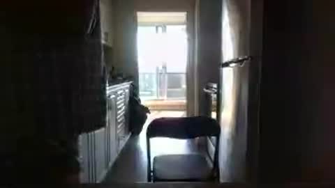 Snapshot of tj526316275 chatting on 07-13-26, 09:17 tj526316275 online show from 07-13-26, 09:17