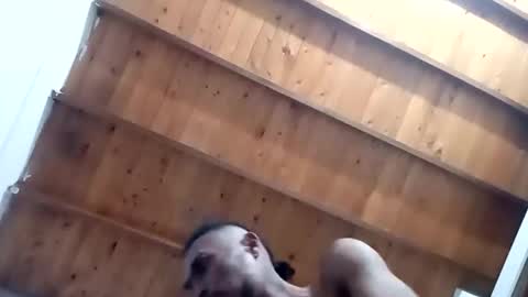 DESTROY.S online show from 11-01-25, 05:20