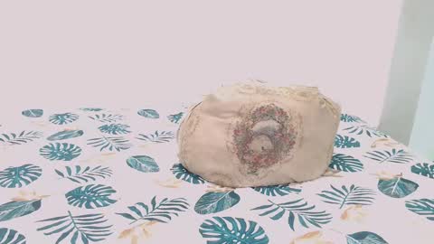 David online show from 02-09-25, 07:16