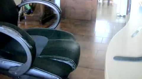 Tobiko online show from 12-12-24, 01:28