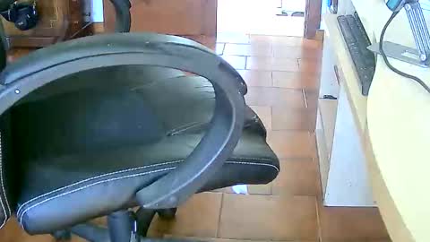 Tobiko online show from 02-17-26, 03:29