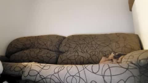 ToffBuck online show from 02-09-26, 04:49