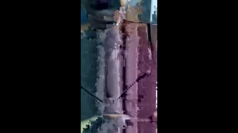 Tokyo online show from 05-24-26, 04:39