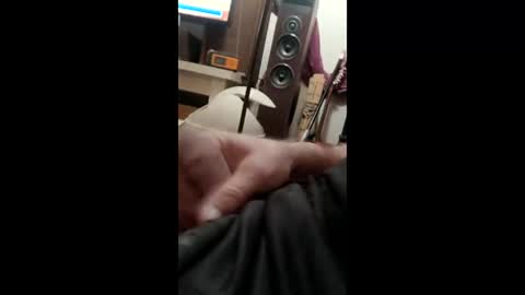 tolinbuilds68 online show from 04-06-26, 08:26