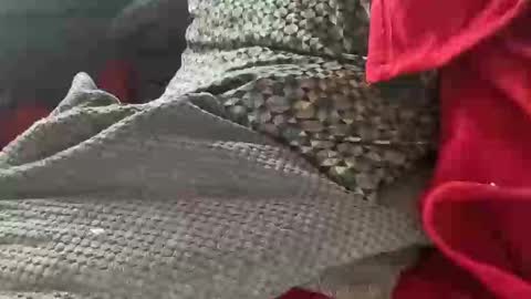 Snapshot of tom6644 chatting on 01-09-25, 01:35 Tom online show from 01-09-25, 01:35