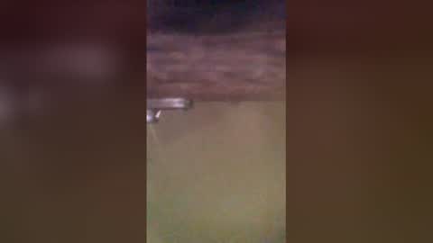 Snapshot of tomcop11111 chatting on 03-29-26, 09:20 tomcop11111 online show from 03-29-26, 09:20