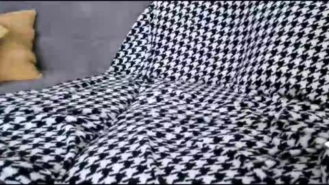 Bima online show from 10-17-25, 09:01