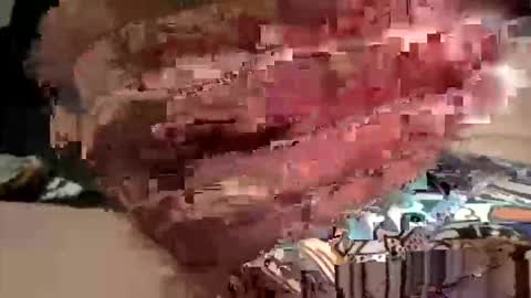 Snapshot of tomsayers777 chatting on 05-31-26, 10:00 Big Timmy online show from 05-31-26, 10:00
