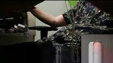 Snapshot of tontin69 chatting on 03-31-26, 12:12 tontin69 online show from 03-31-26, 12:12