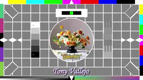 Snapshot of tony_vallejo chatting on 10-14-25, 09:54 Tony V online show from 10-14-25, 09:54