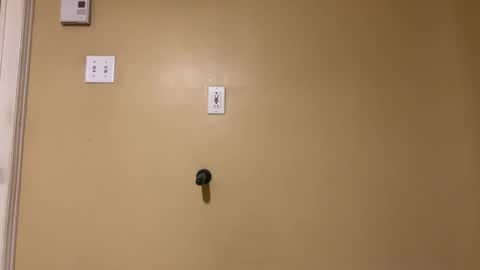 Snapshot of tonyb1291 chatting on 02-15-25, 01:10 Sexy boys online show from 02-15-25, 01:10